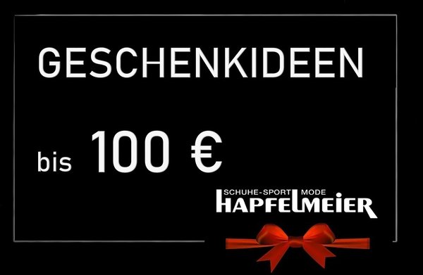 Geschenkideen für Weihnachten bis 100€
