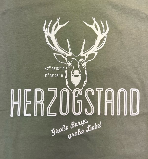 SALZHAUT Herren Shirt "Herzogstand" seagrass